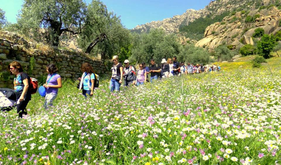 Bafa Gölü Çevresinde Bir Pazar Günü