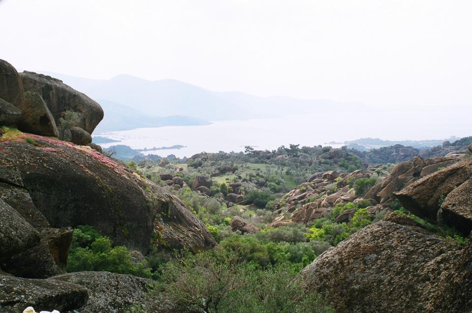 Bafa Gölü