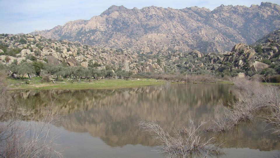 Bafa Gölü